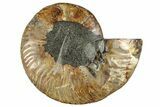 Cut & Polished Ammonite Fossil (Half) - Madagascar #282596-1